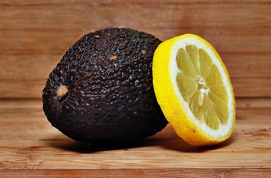 ALKALINE - THE SECRET TO STAYING HEALTHY