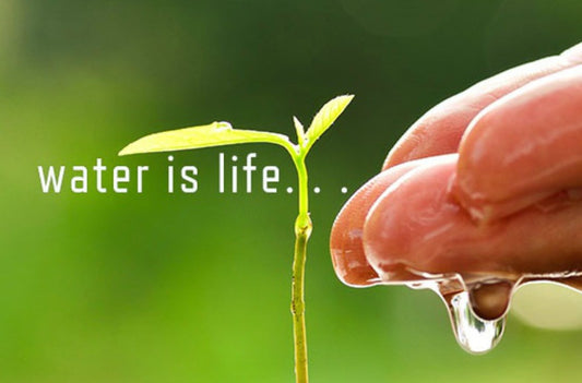 When You Think of Safe Water – Think Sagan